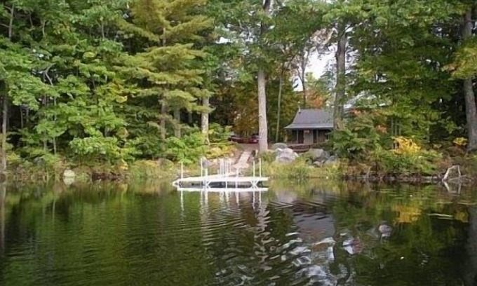 Farmington Falls Cottage | Book Your 2024 Escape: Lakefront Dog-Friendly Retreat