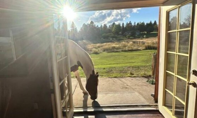 Frenchtown Cabin | Cozy Boone's Cabin: Pet-Friendly Retreat with Kitchen Access