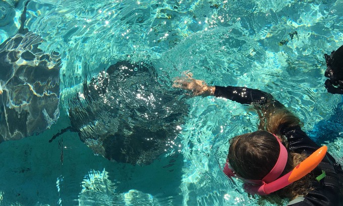 Vaitape Hotel | Discover Bora-Bora: Family-Friendly with Pool & Dining
