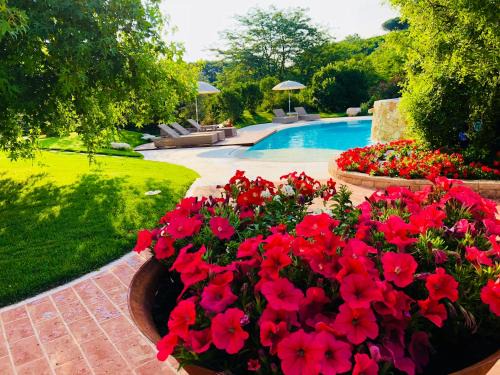 Zugliano Bed & Breakfast | Unforgettable Stay at Borghetto San Biagio Relais Agriturismo