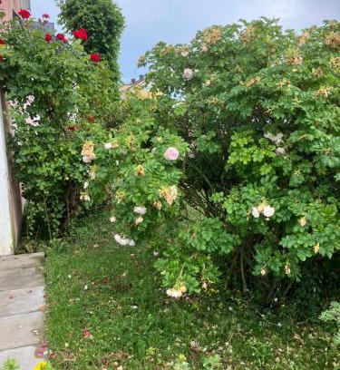 Borgholm Apartment | Explore Borgholm Centralt: Family-Friendly Retreat Awaits