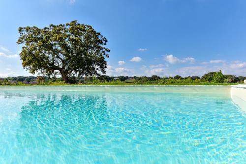 L'Assunta Villa | Exquisite Borgo Aratico: Top-Rated Oceanfront Retreat