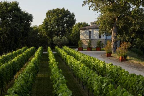 Sorbo Serpico House | Elegant Borgo San Gregorio with Ocean Views and Spa Access