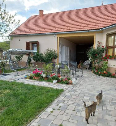Ocseny Apartment | Pet-Friendly Bormegálló Vendégház with Exceptional 9.3 Rating