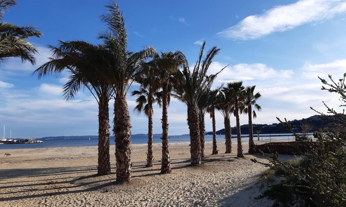 La Faviere Apartment | Beachside Studio Cabin with Pool: 9.2/10 Guest Rated
