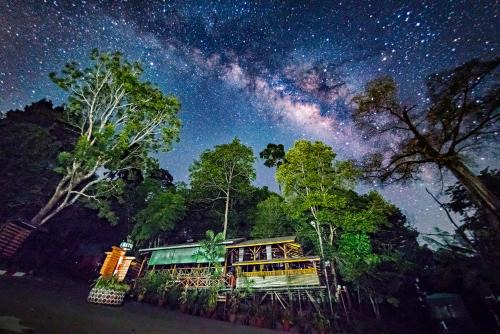 Miri Resort | Experience Nature at Borneo Tropical Rainforest Resort