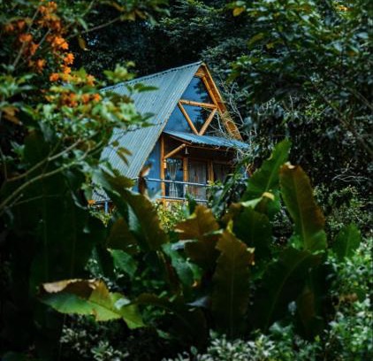Tena Hotel | Experience Boscaje Solarpunk Habitat: Top-Rated Oceanfront Escape