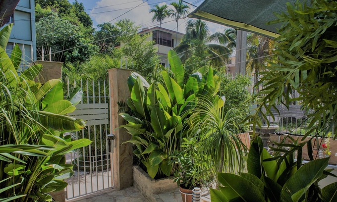 Municipality of Playa Bed & Breakfast | Bosque de la Habana