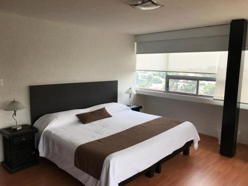 Bosques de las Lomas Apartment | Discover Bosque de Magnolias 93: Pet-Friendly Retreat