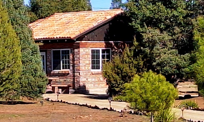 Tecate Municipality Cabin | Discover Bosques del Condor Cabañas: Pet-Friendly Retreat