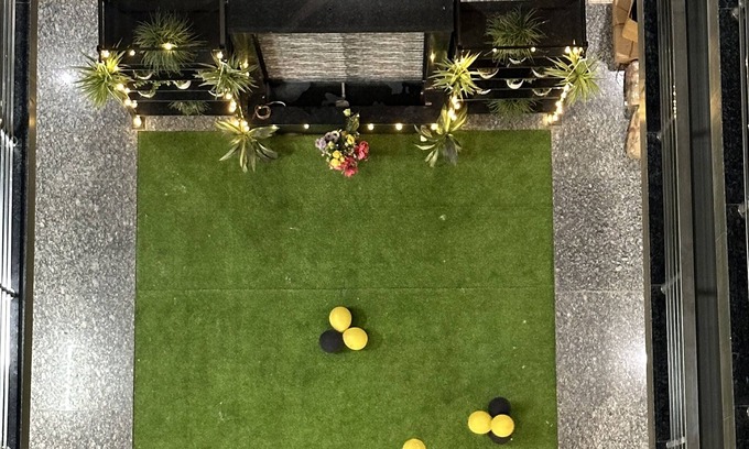 DLF Phase 5 Apartment | Botanical Oasis in the Heart of the City - Plum Tree Hotels