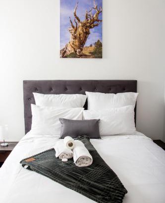 Goodwood Cabin | Affordable Stay at Botha Villa Lodge with Breakfast Included