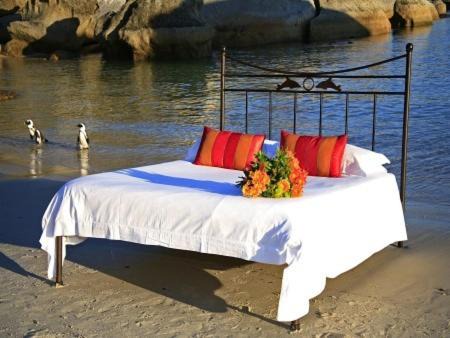 Simon's Town Bed & Breakfast | Beachfront Bliss at Boulders Beach Hotel with Ocean Views