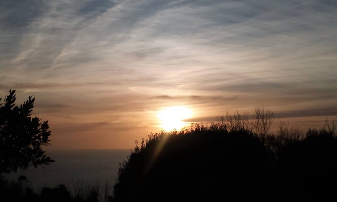 Torquay Apartment | Lavender View at Bowden House: Guests Rate 9.8/10