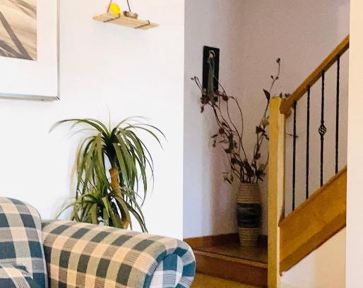 Box Hill House | Boxhill Short-Term Rentals: Pet Friendly & Accessible Stays