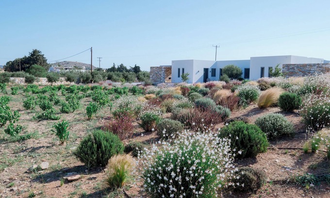 Piso Livadi Villa | Elegant Bracket House Paros Villa with Private Pool & View