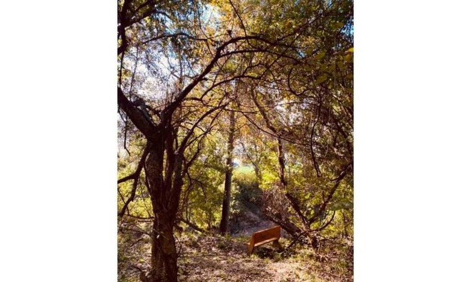 Cedar Creek House | New RV/Camper Near COTA & Tesla - Rated 9/10, Pet-Friendly