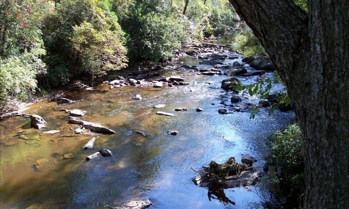 Brasstown Cabin | Experience Brasstown Creek House Near Folk School & More!