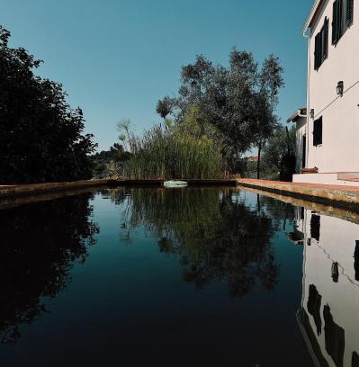 Tomar Apartment | Guest Rated 9.1: Breakfast Under A Tree Apartment Bliss