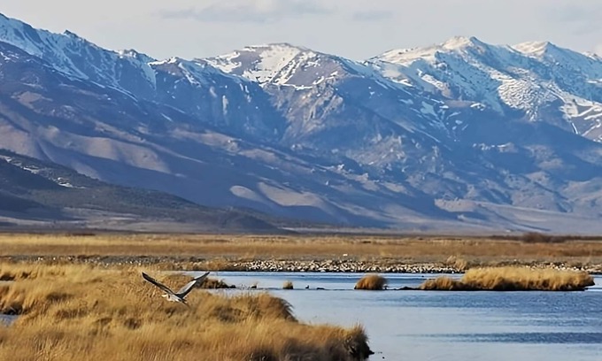Elko Hotel | Scenic Retreat: Family-Friendly Units with Pool Access