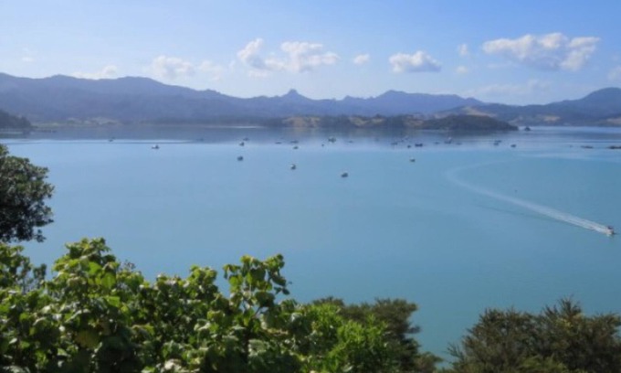 Coromandel House | Unmatched Ocean Views & Family-Friendly Amenities Await