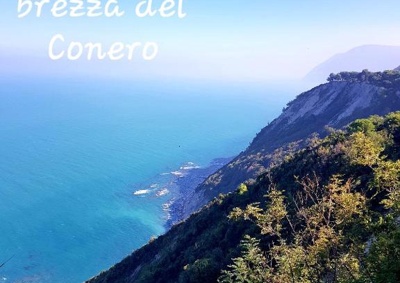 Ancona Apartment | Pet-Friendly Brezza del Conero: Rated 9.3 by Guests