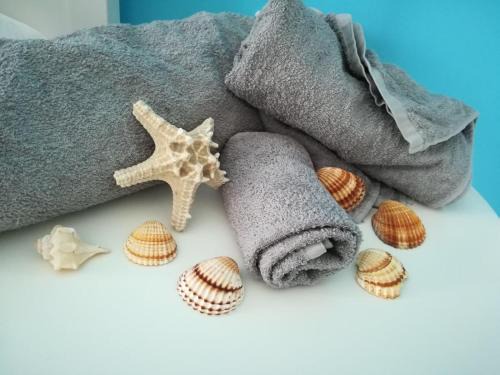 Agropoli Bed & Breakfast | Discover Brezza Del Mare: 9/10 Rated with Breakfast Included