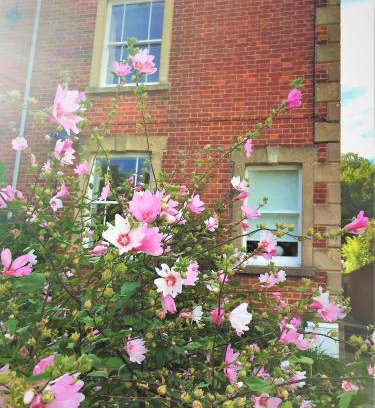 Bridport House | Explore Bridport Garden Suite: Pet-Friendly & 4-Star Comfort