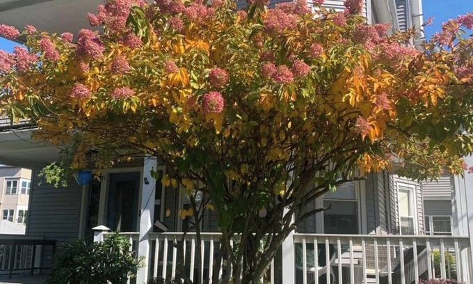 Chicopee Apartment | Bright and cozy 3 bedroom apartment in Chicopee with AC, WiFi. Enjoy your stay