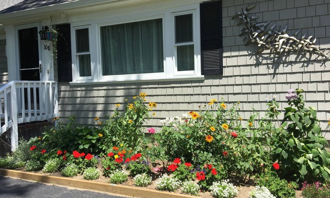 Cotuit House | Bright Beach House: Guest Rated 10/10 with Oceanfront Pool