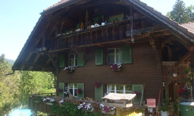 Diessbach Other | Sunny Farm Vacation Apartment with Kitchen & Breakfast