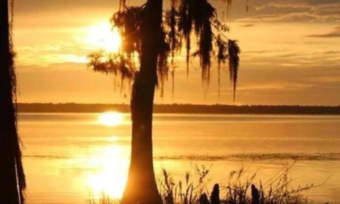 Palatka House | Experience Riverfront Bliss at Our Pet-Friendly Retreat