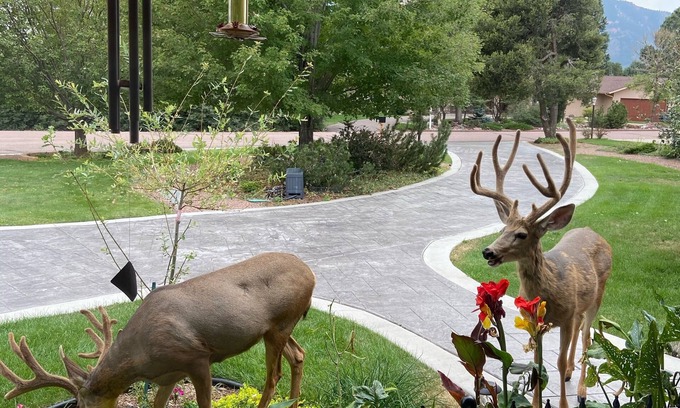 Broadmoor House | Broadmoor Pool Mountain Theater: Family-Friendly Retreat