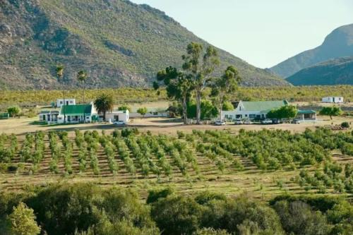Barrydale Ski Chalet | Discover Bronze Grove Farm and Chalets: Oceanfront Retreat