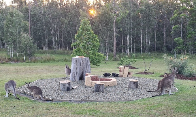 Gulmarrad Apartment | Family-Friendly Brooms Head Retreat with Pet Amenities