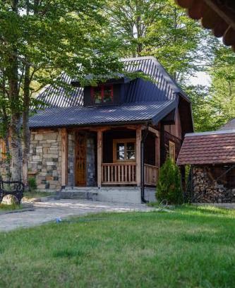 Kremna House | Pet-Friendly Brvnara Iverak with Perfect 10/10 Reviews