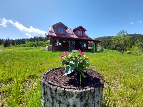 Zlatibor Ski Chalet | Top-Rated Brvnara Rajkova Koliba with Oceanfront Views