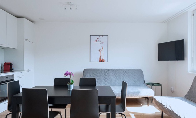Basel City Centre Apartment | Pet-Friendly BS Squirrel V - Messe HITrental Apartment