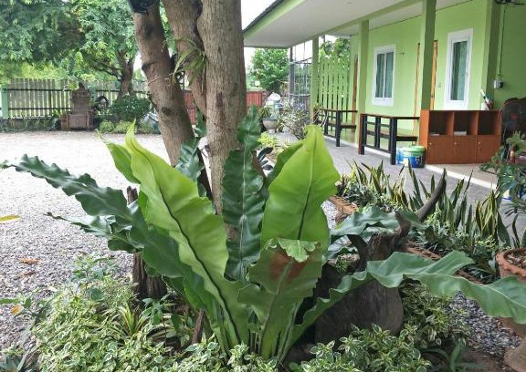 Thap Than Bed & Breakfast | Budget-Friendly Bu Nga Homestay - Family-Friendly Retreat