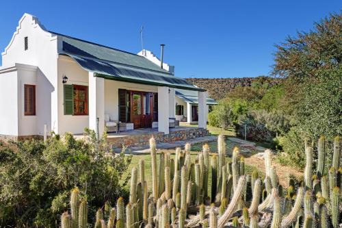 Graaff-Reinet House | Discover Buccara Wildlife Reserve: Oceanfront Retreat Awaits