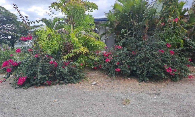 Nadi Hotel | Affordable Family-Friendly Hotel for Memorable Stays