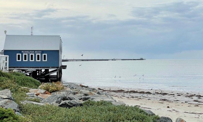 Broadwater Cabin | Relaxing Oceanfront Retreat at Budgie Smuggler Cabin 96