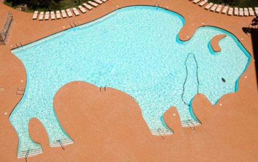 Primm Hotel | Discover Buffalo Bills Resort & Casino: Pet-Friendly Retreat