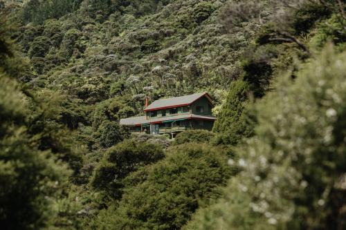 Coromandel Bed & Breakfast | Buffalo Lodge: 4-Star Hotel with Kitchen and Perfect Reviews