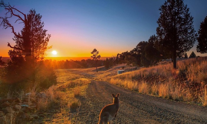 Cumboogle House | Heritage Studio at Bulwarra - Family-Friendly Retreat