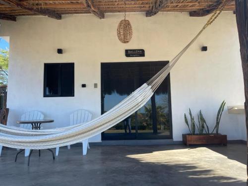Elota Apartment | Beautiful Bungalow Ballena with Ocean Views and Pet-Friendly