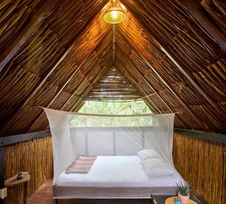 Palomino House | Pet-Friendly Bungalows Casa Rio Palomino - Rated 10/10