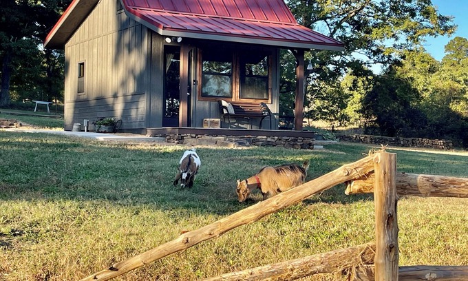 Mt. Sherman Cabin | Bunkhouse in the Beautiful Ozark Mountains Near Iconic Buffalo National River