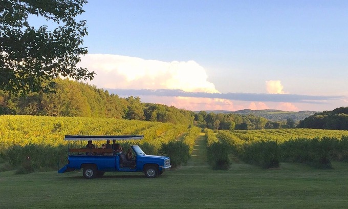 Collins Center House | Top-Rated Burdick Blueberry Farm Guest House with Pool