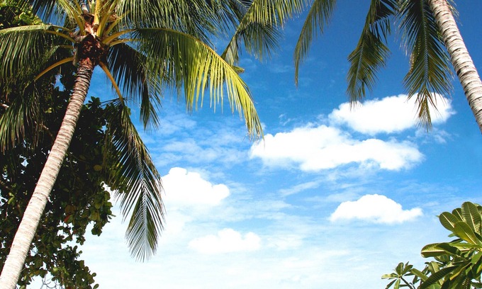 Chaweng City Center Resort | Idyllic Buri Rasa Village Samui: Guest Rated 9.4/10